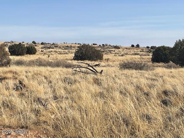 TBD John Dr, Snowflake AZ, 85937 land for sale