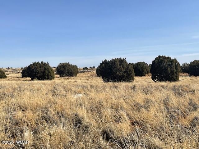 Listing photo 2 for TBD John Dr, Snowflake AZ 85937