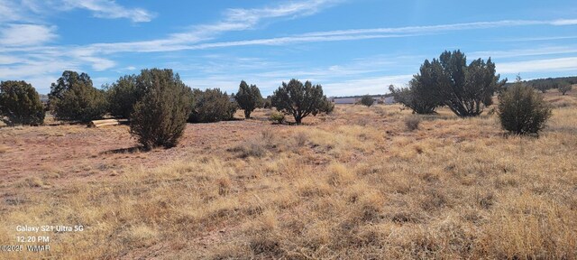 TBD Huckleberry Lane, Taylor, AZ 85939