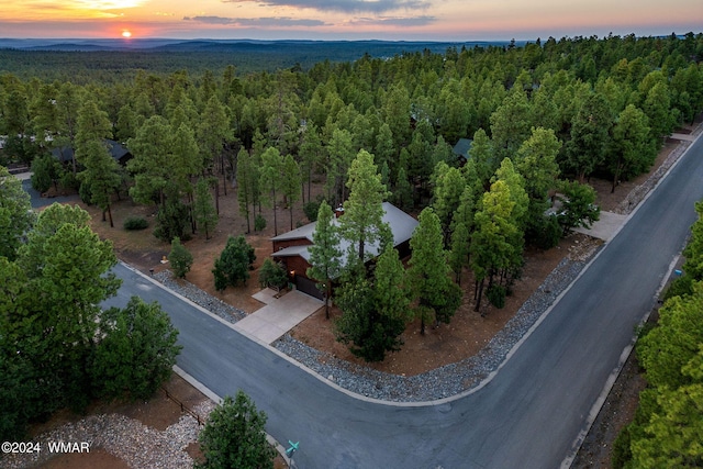 aerial view