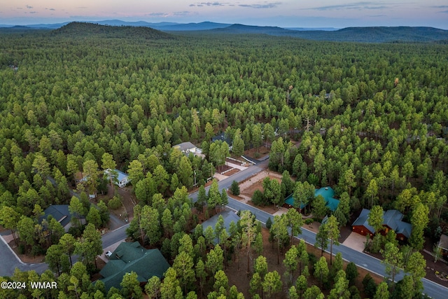 birds eye view of property featuring a mountain view and a view of trees