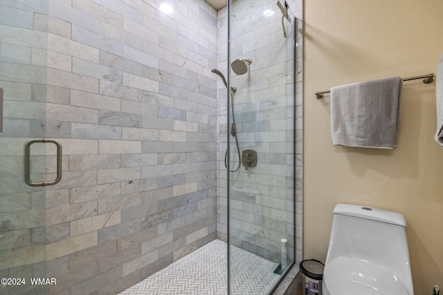 bathroom with a stall shower and toilet