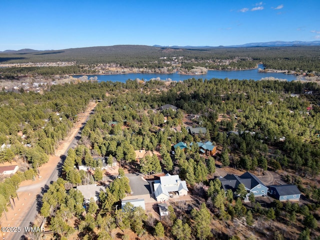 bird's eye view featuring a forest view and a water and mountain view