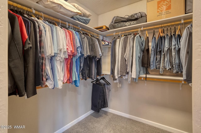 walk in closet with carpet