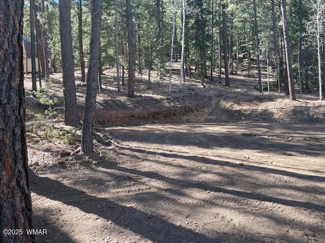 2 County Road 1007, Greer AZ, 85927 land for sale