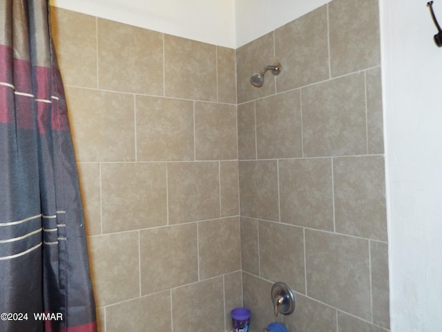 full bathroom featuring a shower with shower curtain