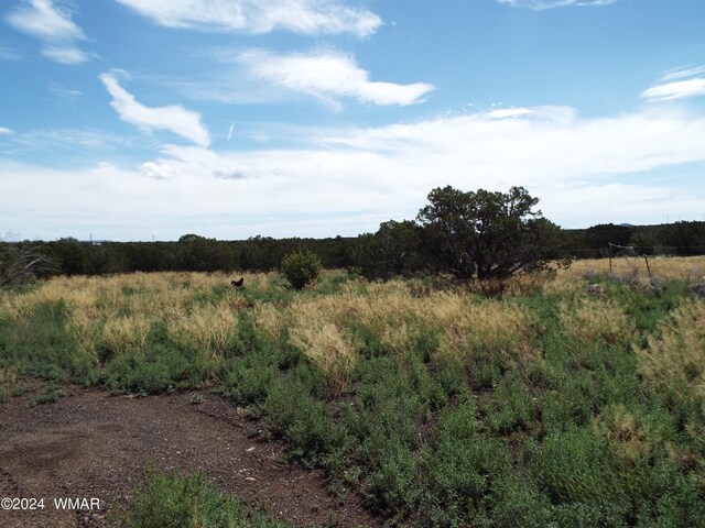 view of landscape with a rural view