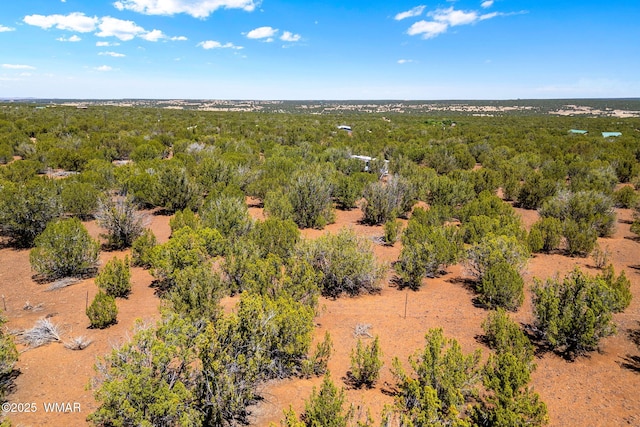 9071 Chimisa Ranch Rd, Show Low, AZ 85901 - photo 7