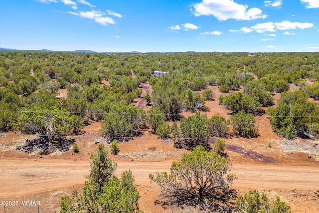 9071 Chimisa Ranch Rd, Show Low, AZ 85901 - photo 5