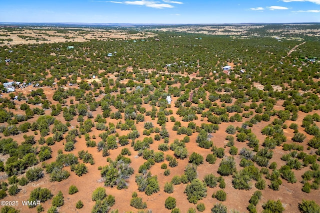 9071 Chimisa Ranch Rd, Show Low, AZ 85901 - photo 14
