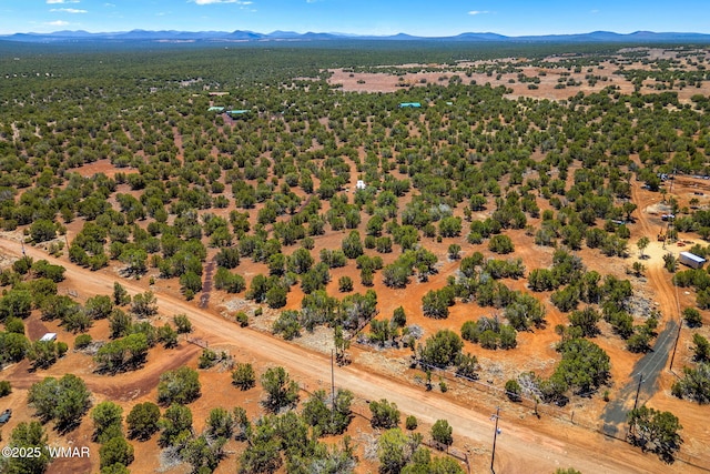 9071 Chimisa Ranch Rd, Show Low, AZ 85901 - photo 16
