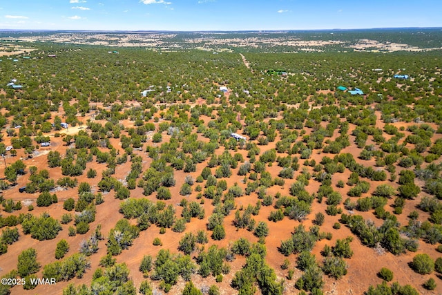 9071 Chimisa Ranch Rd, Show Low, AZ 85901 - photo 13