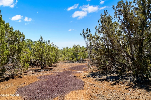 9071 Chimisa Ranch Rd, Show Low, AZ 85901 - photo 8