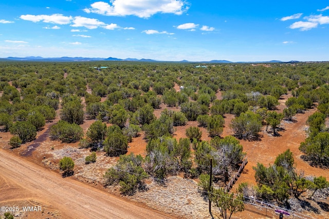 9071 Chimisa Ranch Rd, Show Low, AZ 85901 - photo 4