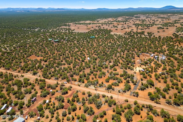 9071 Chimisa Ranch Rd, Show Low, AZ 85901 - photo 12