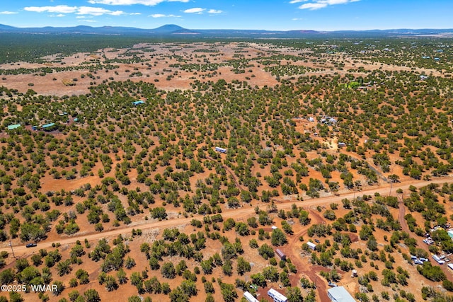 9071 Chimisa Ranch Rd, Show Low, AZ 85901 - photo 11