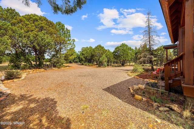 1537 Georgann Cir, Heber, AZ 85928 - view of yard
