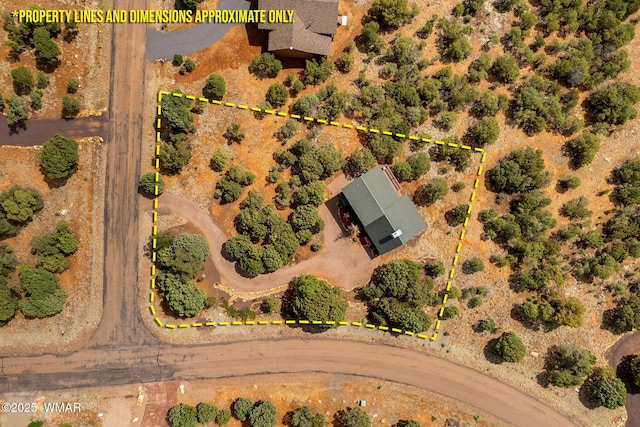 1537 Georgann Cir, Heber, AZ 85928 - drone / aerial view