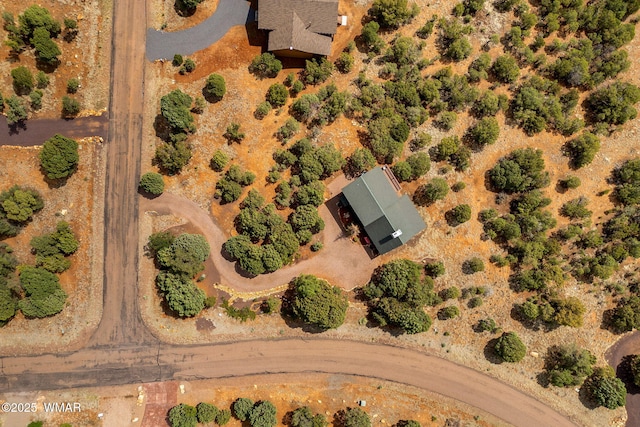 1537 Georgann Cir, Heber, AZ 85928 - aerial view of property and surrounding area