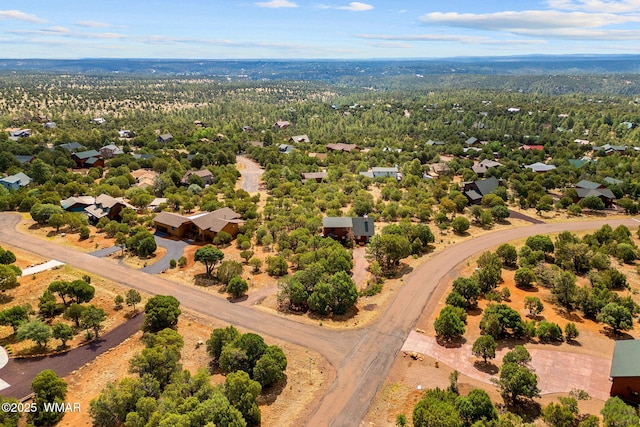 1537 Georgann Cir, Heber, AZ 85928 - drone / aerial view