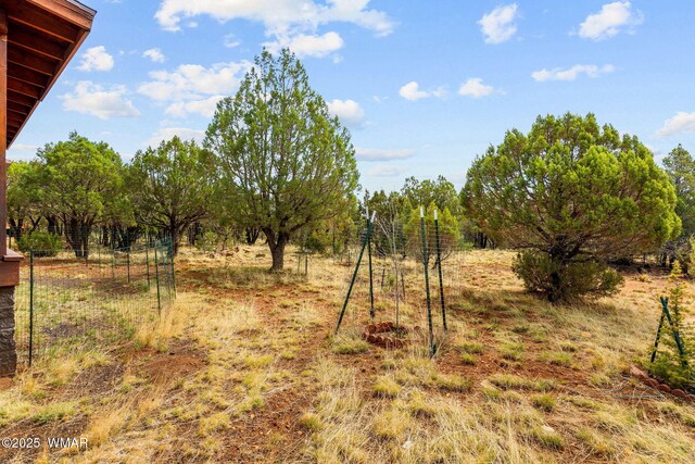 1537 Georgann Cir, Heber, AZ 85928 - view of undeveloped land