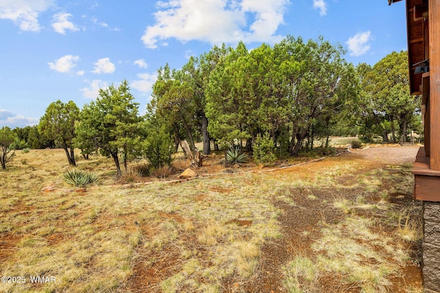 1537 Georgann Cir, Heber, AZ 85928 - view of wooded area