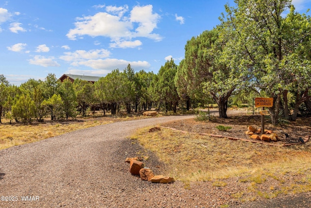 1537 Georgann Cir, Heber, AZ 85928 - view of road