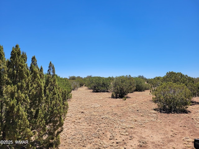 8442 Lake Ridge Rd, Show Low, AZ 85901