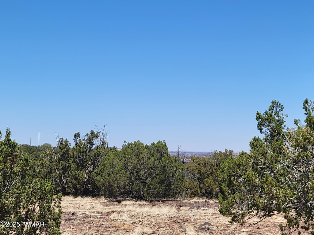 8442 Lake Ridge Rd, Show Low, AZ 85901