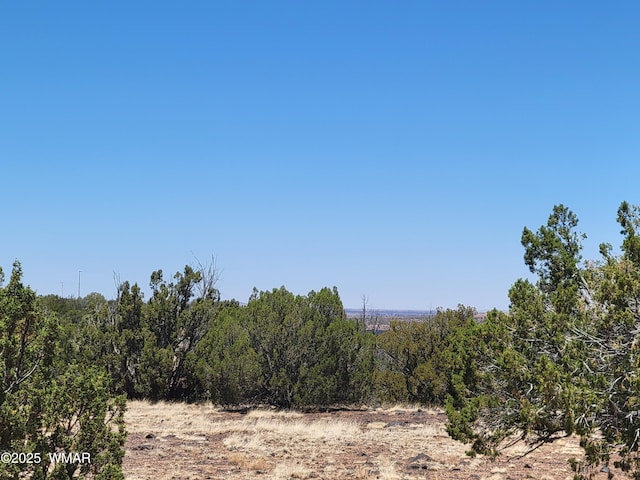 8442 Lake Ridge Rd, Show Low, AZ 85901