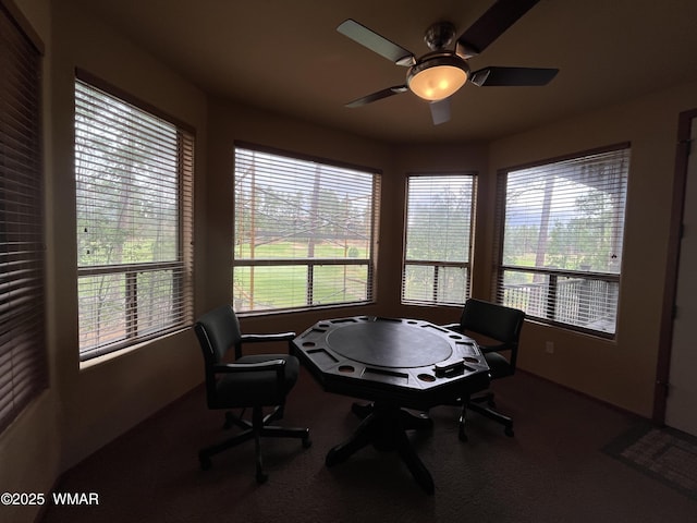 630 S Rockcress Ln, Show Low, AZ 85901 - photo 31