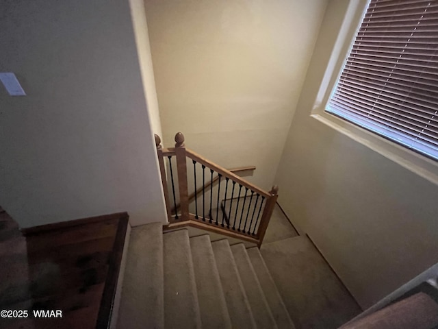 630 S Rockcress Ln, Show Low, AZ 85901 - photo 26