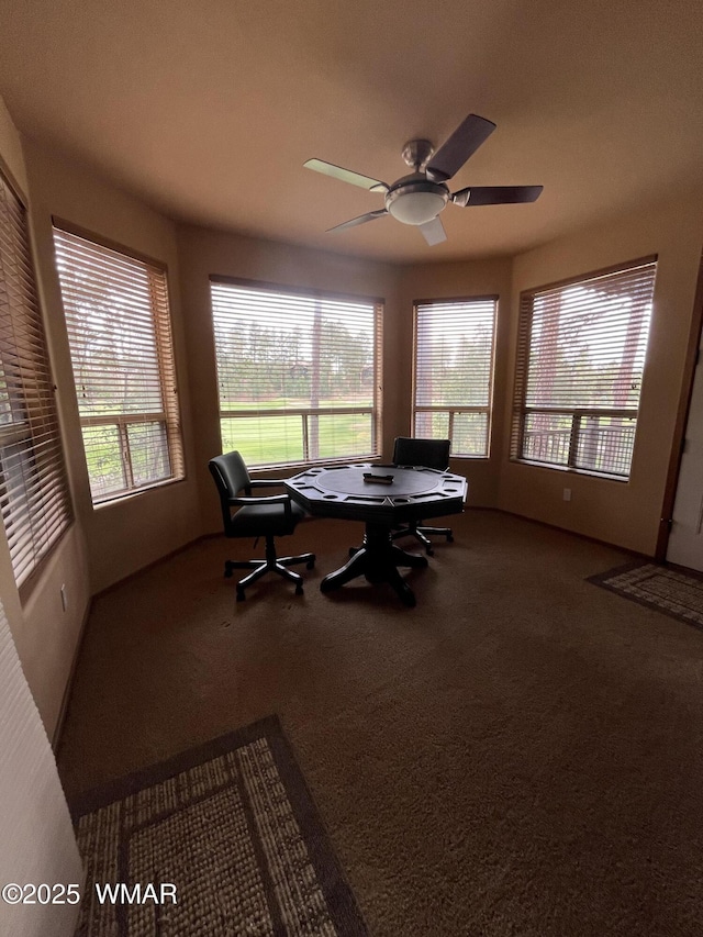 630 S Rockcress Ln, Show Low, AZ 85901 - photo 28
