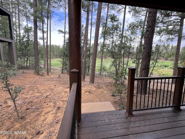 630 S Rockcress Ln, Show Low, AZ 85901 - photo 4
