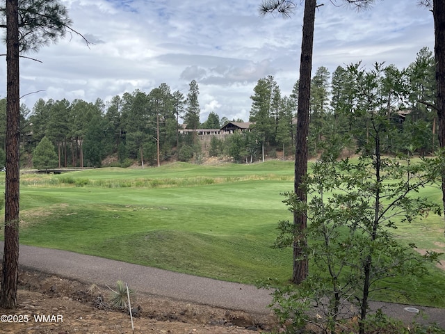 630 S Rockcress Ln, Show Low, AZ 85901 - photo 6