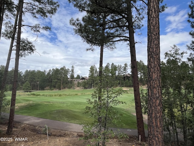 630 S Rockcress Ln, Show Low, AZ 85901 - photo 7