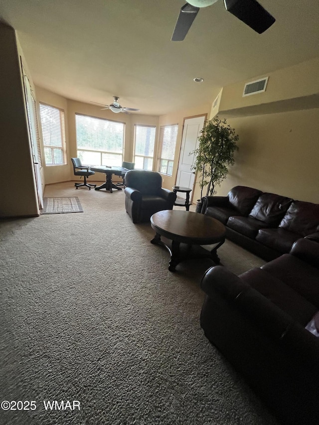 630 S Rockcress Ln, Show Low, AZ 85901 - photo 29