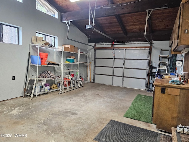 4989 Drifting Snow Loop Unit 4, Pinetop, AZ 85935 - garage with wooden ceiling and a garage door opener