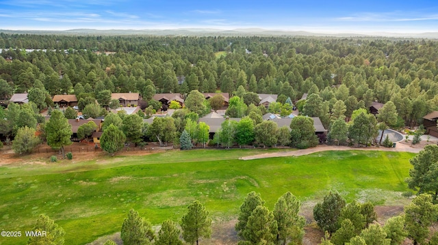 401 N Retreat Dr, Show Low, AZ 85901 - photo 62