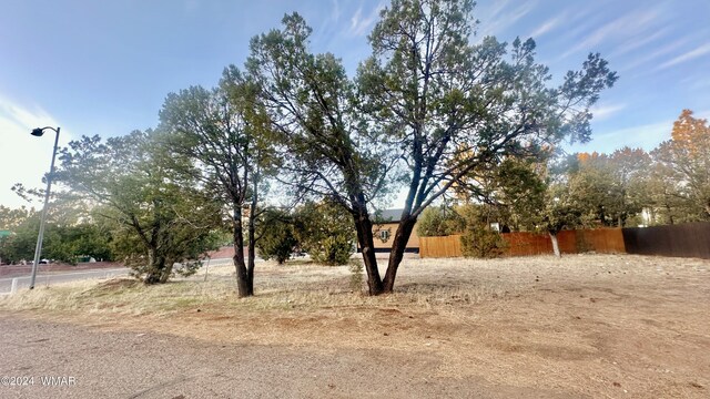 801 S Bushman Ln, Show Low, AZ 85901