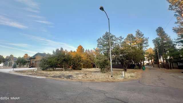 801 S Bushman Ln, Show Low, AZ 85901