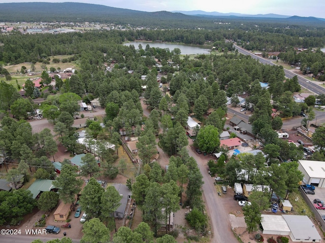 2842 Kempa Dr, Lakeside, AZ 85929 - photo 8