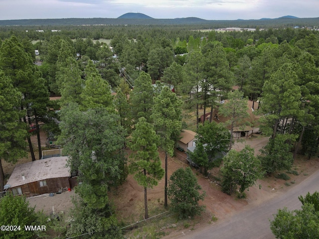 2842 Kempa Dr, Lakeside, AZ 85929 - photo 5