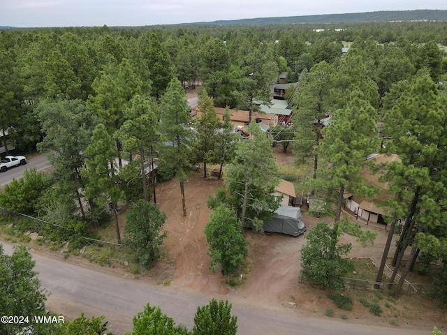 2842 Kempa Dr, Lakeside, AZ 85929 - photo 6