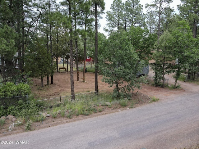 2842 Kempa Dr, Lakeside, AZ 85929 - photo 3