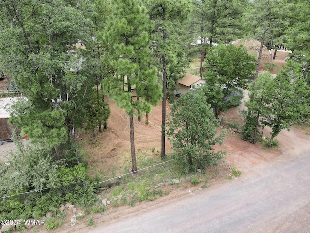 2842 Kempa Dr, Lakeside, AZ 85929 - photo 4