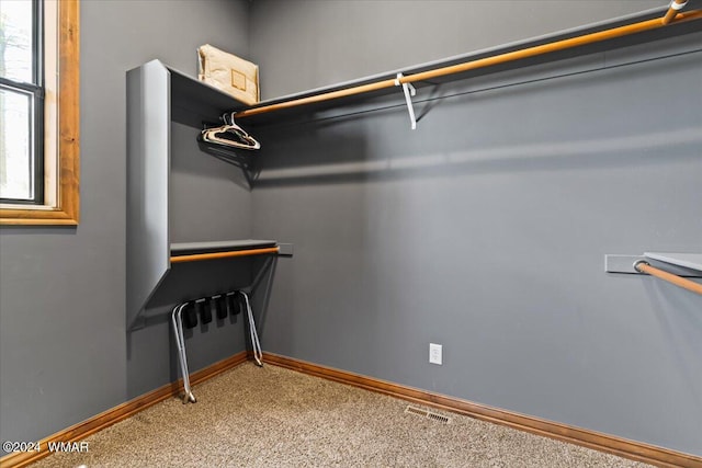 spacious closet with carpet floors and visible vents