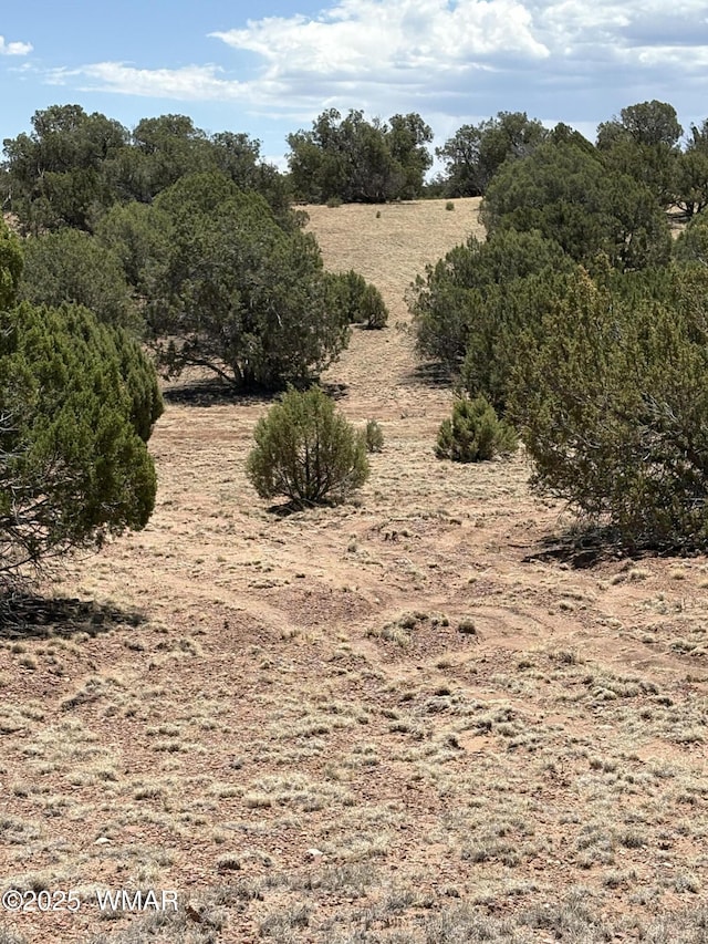 TBD Lazy O Rd, Show Low, AZ 85901 - photo 14
