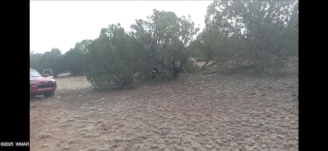 TBD Lazy O Rd, Show Low, AZ 85901 - photo 4