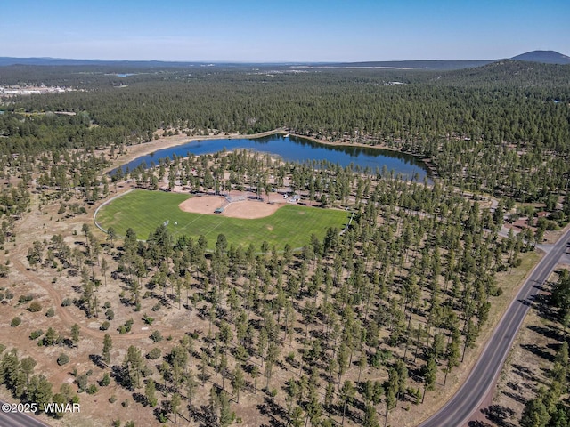 drone / aerial view featuring a view of trees and a water view